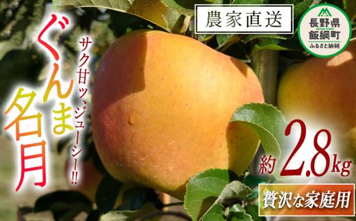 りんご ぐんま名月 贅沢な 家庭用 2.8kg 信州りんご☆小山園☆ 沖縄県への配送不可 2025年11月中旬頃から2025年11月下旬頃まで順次発送予定 令和7年度収穫分 エコファーマー認定 小山園 信州 果物 フルーツ リンゴ 林檎 長野 12000円 予約 農家直送 長野県 飯綱町 [1060]