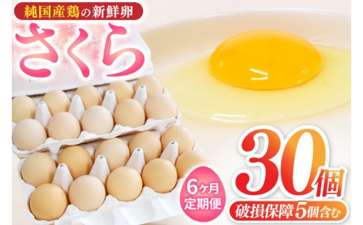 
                  ＼6ヶ月連続お届け／純国産鶏【さくら】純たまご 30個入り 破損保証5個を含む【たまご 卵 玉子 鶏卵 純たまご 採れたて 新鮮 卵 農地直送】(AJ029)
                