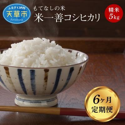 ふるさと納税 天草市 【6ヶ月定期便】コシヒカリ 精米 5kg_S050-T04A