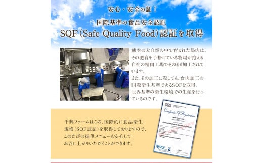 馬肉ハンバーグ 16個セット 130g×16個 千興ファーム 《60日以内に出荷予定(土日祝除く)》 熊本県 ---mifune_snk_25_16set---