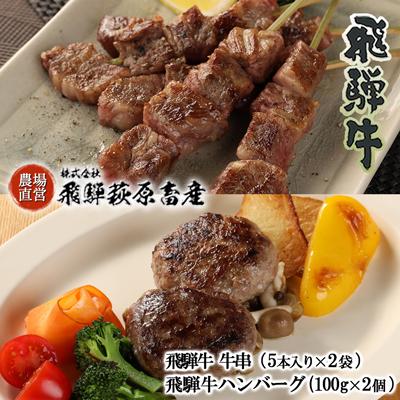 ふるさと納税 下呂市  【冷凍】飛騨牛串焼き・飛騨牛ハンバーグセット【22-33】