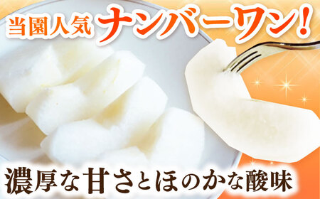 【100年続く梨農家直送】【化粧箱入り】甘太郎（甘太）5-8個入（約3kg）/ 梨 なし 伊万里梨 フルーツ 果物&nbsp;/ 佐賀県 / 大川三世代[41AEAB010]