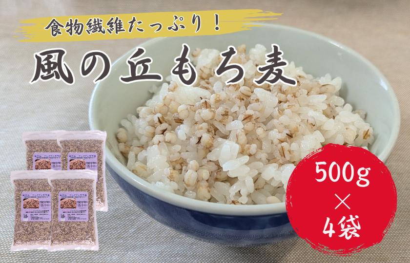 
            風の丘もち麦　2kg（500g×4袋） ／ もち麦 麦 むぎ 大麦 雑穀 雑穀米 もち麦ごはん 麦ごはん 食物繊維
          