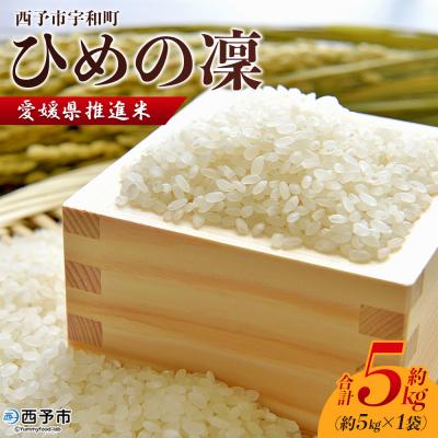 ふるさと納税 西予市 新米<令和7年産 愛媛県推進米 ひめの凜 約5kg> お米