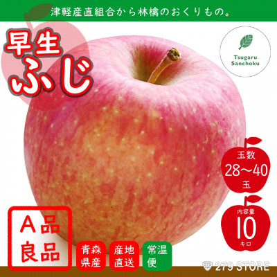 
10月初旬頃発送 早生ふじ A品 10キロ箱 10kg 28～40玉 津軽りんご 産地直送【1290121】
