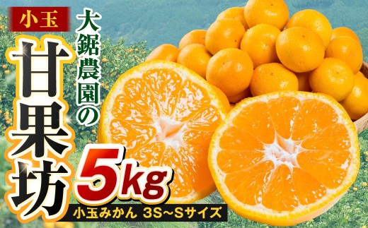 大鋸農園の甘果坊（小玉）５ｋｇみかん蜜柑太良みかん温州みかん果物フルーツ甘い柑橘小玉ノーワックス果実くだもの柑橘類佐賀県太良町 LB8x1 【2026年10月下旬～12月下旬配送予定 】