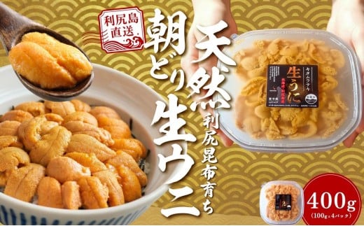 【2026年発送受付】利尻島産「朝どり」塩水生うに400g (100g×4) 天然キタムラサキウニ【6~8月発送分】｜北海道 朝獲れ 天然 塩水  無添加 ミョウバン不使用 [1090032]