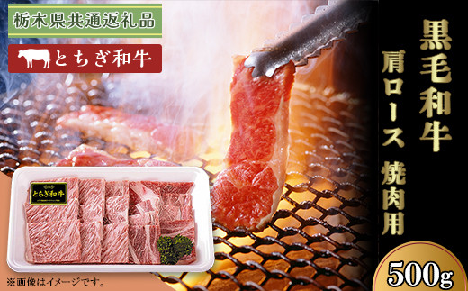 黒毛和牛 肩ロース 約500g 焼肉 栃木県 ブランド 牛 とちぎ和牛 高級 牛肉 スライス B008 【栃木県共通返礼品 栃木県産】