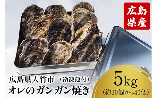 オレのガンガン焼き 広島県大竹市産 冷凍殻付牡蠣 5kg (約30個から40個)｜かき 大粒 貝 シーフード オイスター 海鮮 魚介類 濃厚 海の幸 貝類 BBQ バーベキュー カンカン焼き おおたけカキ 特大サイズ 広島 大竹市 玖波 宮島 瀬戸 国産 産地直送 [2621]