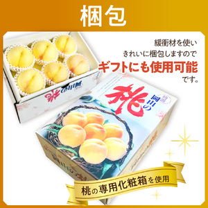 【令和８年発送分】岡山県産 白桃「ロイヤル」1.5kg（令和8年7月から8月頃発送）【 岡山県産 白桃 ロイヤル 晴れの国おかやま 】