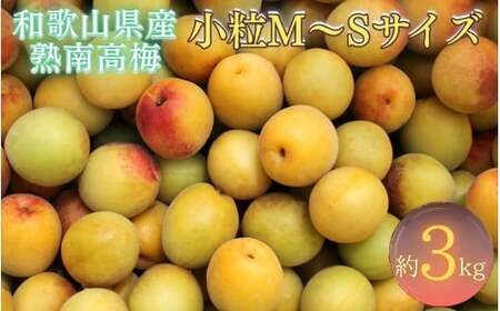 紀州和歌山県産 熟南高梅 生うめ 優品 約３kg (S、Mサイズおまかせ)+3%増量＜2026年6月下旬～7月上旬発送予定＞/ 梅干し 梅酒 ウメシロップ ジュース ジャム他 紀州熟南高梅 青梅 黄梅 朝採り フルーツ 果物 くだもの 食品 人気 おすすめ 【クール便送料無料】【art043】