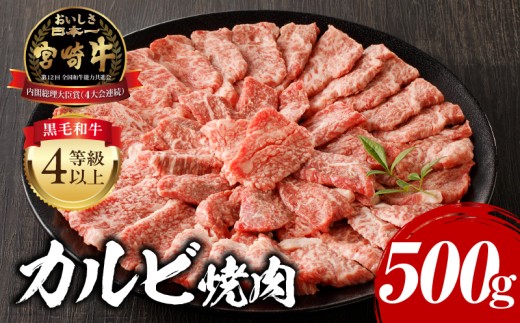 【2026年12月発送】宮崎牛 カルビ焼肉 500g_M243-004-dec
