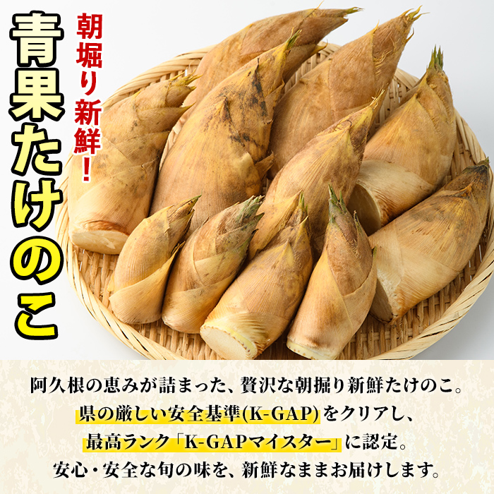 ＜先行予約受付中！2027年2月下旬以降順次発送予定＞ 【土日祝着】朝堀り青果たけのこ(約3kg) 国産 新鮮 タケノコ 青果 竹の子 筍 野菜 春 旬 期間限定 数量限定 【上野食品】akn008-