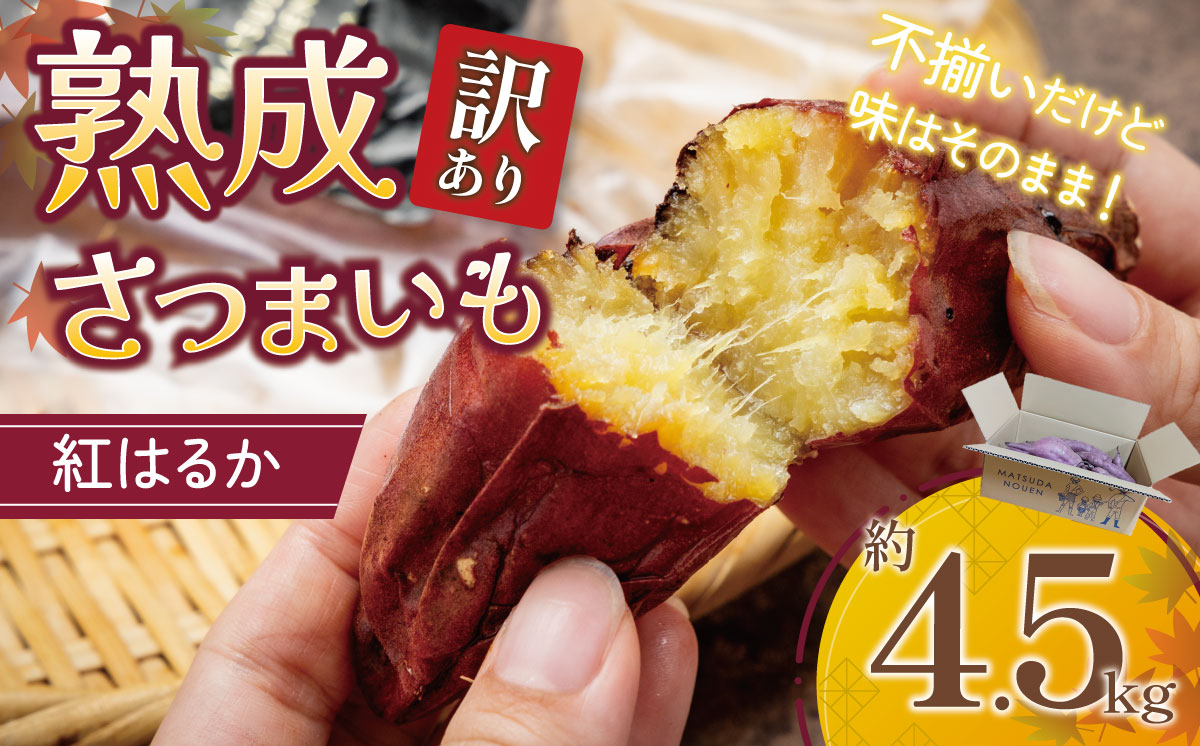 【先行予約】茨城県産 熟成さつまいも ( 紅はるか ) SS〜3Lサイズ訳アリ4.5kg ( 箱入り )【 紅はるか さつまいも サツマイモ おやつ スイーツ 甘味 デザート 訳アリ 訳あり 8000円 茨城県 つくば市 】