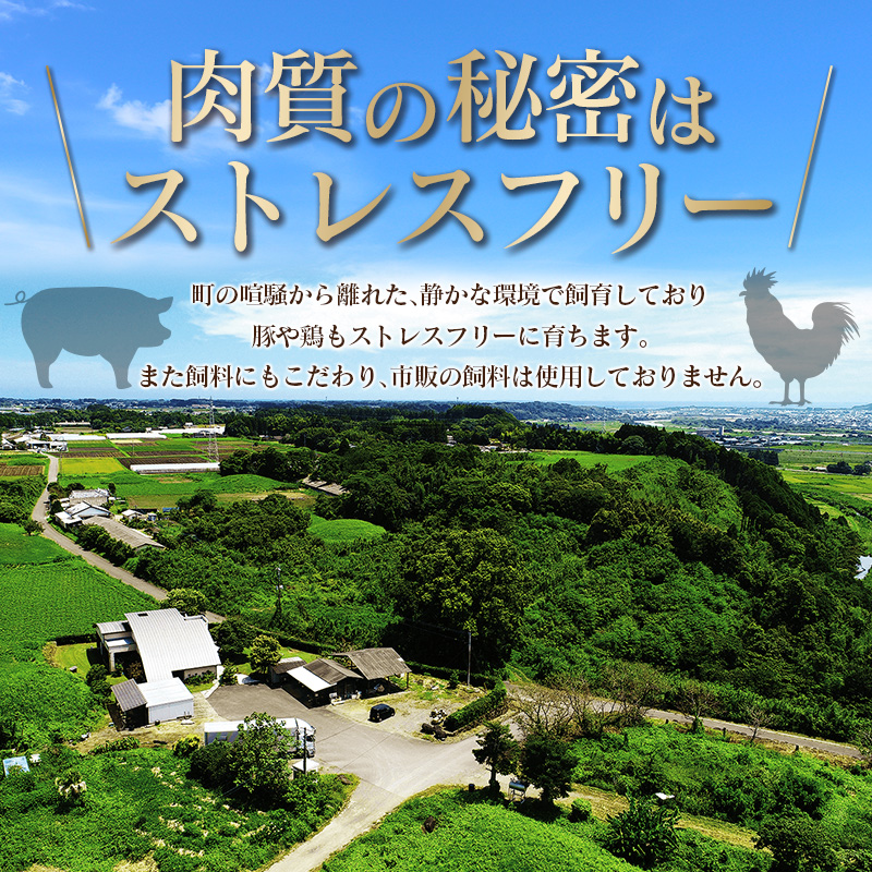 宮崎県産 鶏ムネ・豚切落し 5kgセット【B500】_イメージ5