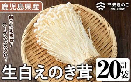 生白えのき茸(20袋・計5kg)国産 エノキ きのこ キノコ 個包装【三笠えのき茸生産組合】a-12-221-z