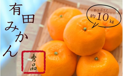 紀州有田みかん 秀品 約10kg サイズおまかせ(Ｌ・М・Ｓ) / みかん ミカン くだもの 果物 フルーツ 柑橘 和歌山【sml109B】