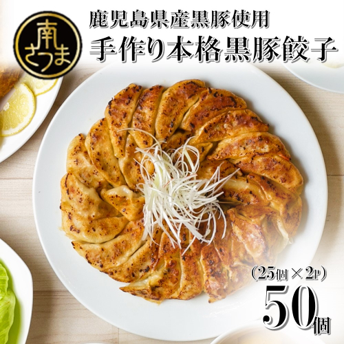 【鹿児島県産】手作り本格黒豚餃子 50個 （25個×2P）餃子 ギョーザ 生ぎょうざ おかず 総菜 お弁当 のし ギフト 冷凍 南さつま市
