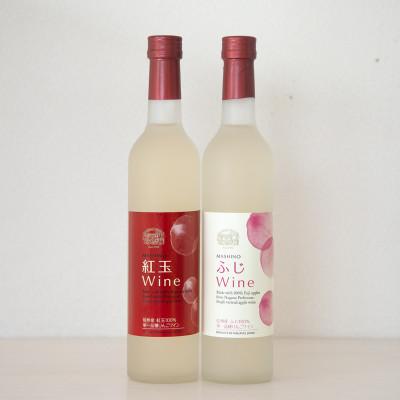 ふるさと納税 松川町 りんごワイン2本セット　ふじ&amp;紅玉　各500ml