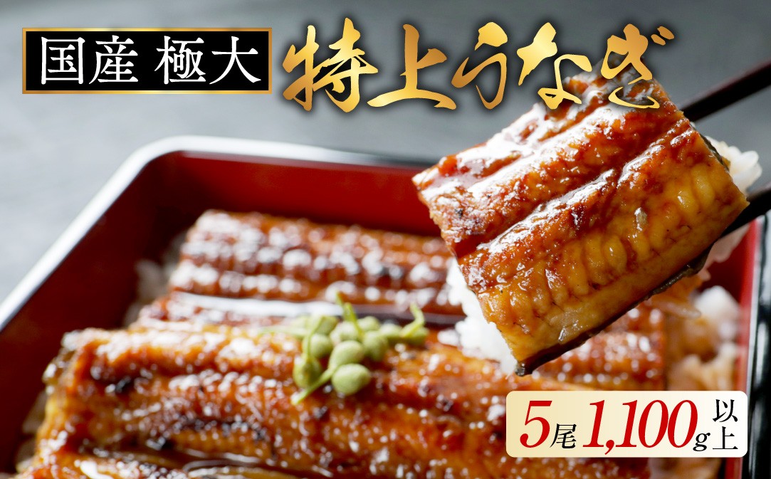 
                  国産 極大 特上うなぎ 計1100g以上 （ 220g 5尾 ） （ 国産 うなぎ 鰻 ウナギ 蒲焼き 蒲焼 かばやき 魚 魚介 魚貝 海鮮 うな重 ひつまぶし 蒲焼 訳あり ギフト 人気 おすすめ 北海道 別海町 220g 5尾 国産 うなぎ 鰻 ウナギ 蒲焼き ふるさとチョイス ふるさと納税 仕組み キャンペーン 限度額 計算 ランキング やり方 シミュレーション チョイス チョイスマイル ）
                