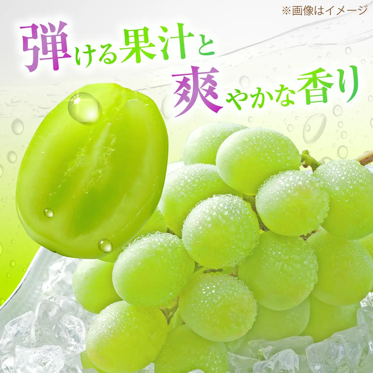【先行予約】【50個限定】【2026年8月下旬以降順次発送】 【ご家庭用】シャインマスカット2房 島根県雲南市/なばらファーム[AIEU002]