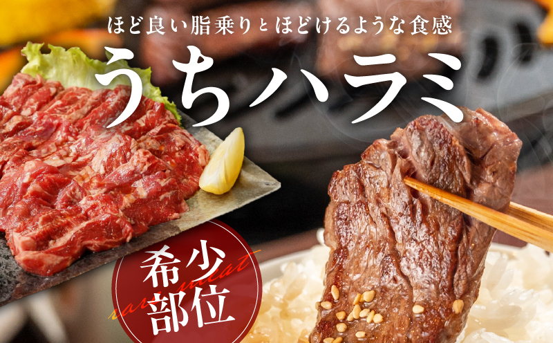 【氷温熟成】希少部位セット　牛うちハラミ800g＆国産鶏とろ（肩肉）1.5kg【カット済み 氷温熟成×極味付け 小分け 味付き 簡単調理 訳あり サイズ不揃い 牛肉 ハラミ 鶏肉 鶏とろ 肩肉 とり 