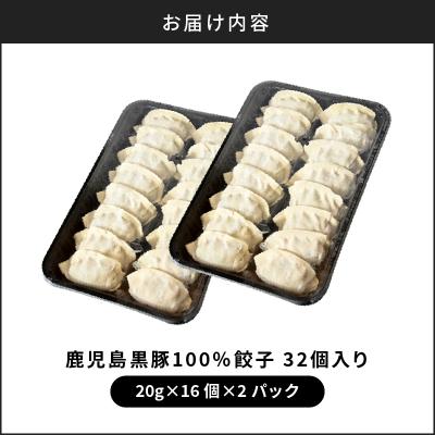 ふるさと納税 鹿児島市 【日本全国!ご当地冷凍食品大賞 2024-2025 優秀賞受賞!】鹿児島黒豚100%餃子 32個入り |  | 03