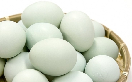 緑の一番星たっぷり♪卵屋ばうむ(ホール)とたまごジャムセット バウムクーヘン ジャム たまご セット 贈答 土産 青森県 三戸町 AR-25-004