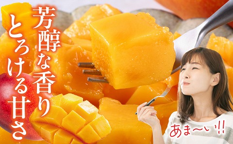 【期間・数量限定】宮崎県産訳あり完熟マンゴー1.2kg(3～4玉)_M359-006