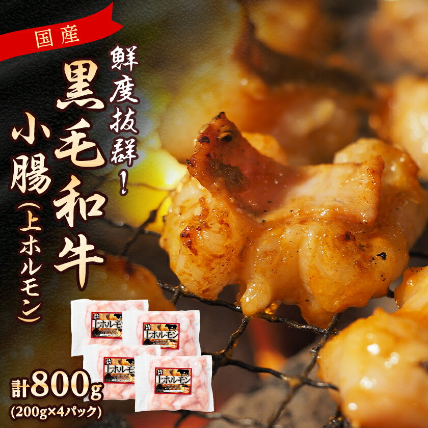 【ふるさと納税】国産黒毛和牛小腸(上ホルモン)800g(200g×4パック)(枕崎市) Z0-57_ 肉 牛肉 内臓 黒毛和牛 ホルモン 鹿児島県 人気 おすすめ 送料無料 贈答 ギフト 冷凍 枕崎 牛小腸 【配送不可地域：離島】【1650522】