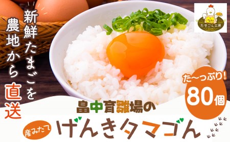 畠中育雛場のげんきタマゴん 80個 《30日以内に出荷予定(土日祝除く)》福岡県   卵  有限会社畠中育雛場