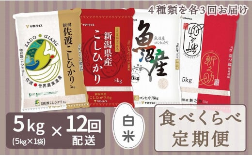 【定期便全12回】新潟県産米厳選食べ比べ 5kg（受注の翌月から毎月配送）｜新潟県　新潟　佐渡　佐渡産　コシヒカリ　こしひかり　魚沼産　魚沼　新之助　おこめ　お米