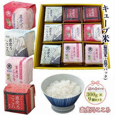 【ふるさと納税】キューブ米 直虎乃こころ 300g 9個 セット 詰め合わせ 米 無洗米 お米 おこめ こめ コメ 白米 精米 ご飯 ごはん ギフト 贈り物 プレゼント 備蓄米 災害用 レジャー アウトドア キャンプ 真空パック 静岡 静岡県 浜松市