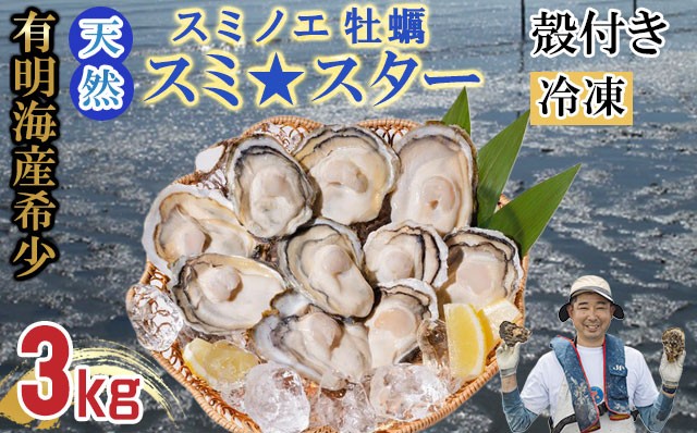 
                  天然 有明海産「冷凍スミノエ牡蠣」スミ☆スター3Kg 殻付き牡蠣 加熱調理用 はしま海苔
                
