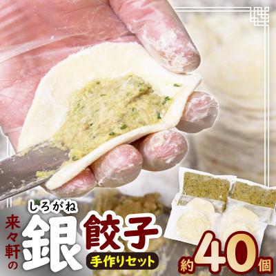 ふるさと納税 横須賀市 来々軒の銀(しろがね)餃子　手作りセット(約40個分)
