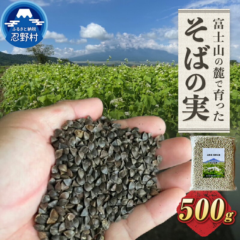 【ふるさと納税】 山梨県忍野村産 そばの実 高品質 農薬不使用 蕎麦料理 実 お取り寄せ 健康志向 贈答 ギフト 国産 山梨県産 富士北麓山梨県産 送料無料 忍野村 山梨県