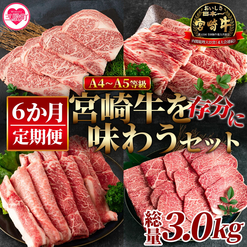 【ふるさと納税】＜【定期便6か月】宮崎牛を存分に味わうセット 総量3.0kg＞ ステーキ すき焼き 焼肉 バーベキュー BBQ 牛肉 焼き肉 宮崎県産 黒毛和牛 国産 精肉 冷凍 トレイ ブランド牛 A4 A5 キャンプ アウトドア【MI231-nh】【日本ハムマーケティング株式会社】