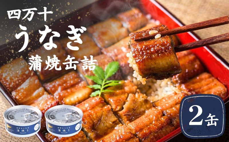 
                  四万十うなぎ 缶詰 蒲焼 鰻 うなぎ かば焼き ウナギ缶 ウナギ 四万十産 蒲焼き缶詰 2缶セット 山椒付き 高知 魚 魚介類 海鮮 惣菜 常温保存 うなぎ缶 かば焼 缶づめ ストック食品 ご飯のおかず おつまみ うなぎセット 贅沢缶詰 国産うなぎ ご褒美 自宅用 ギフト 2万円 以内 20000円 以下 20000円の返礼品 高知県 高知 黒潮町 母の日 父の日 プレゼント [1421]
                