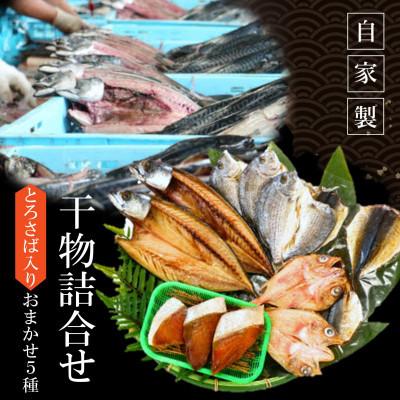 ふるさと納税 美浜町 【南知多町・美浜町共通返礼品】魚太郎名物【とろさば】入り・自家製ひもの5種おまかせセット