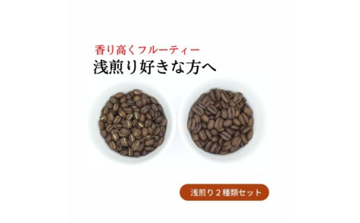 スペシャルティコーヒー 浅煎り コーヒー豆2種類セット　合計600g(豆のまま)【1346172】