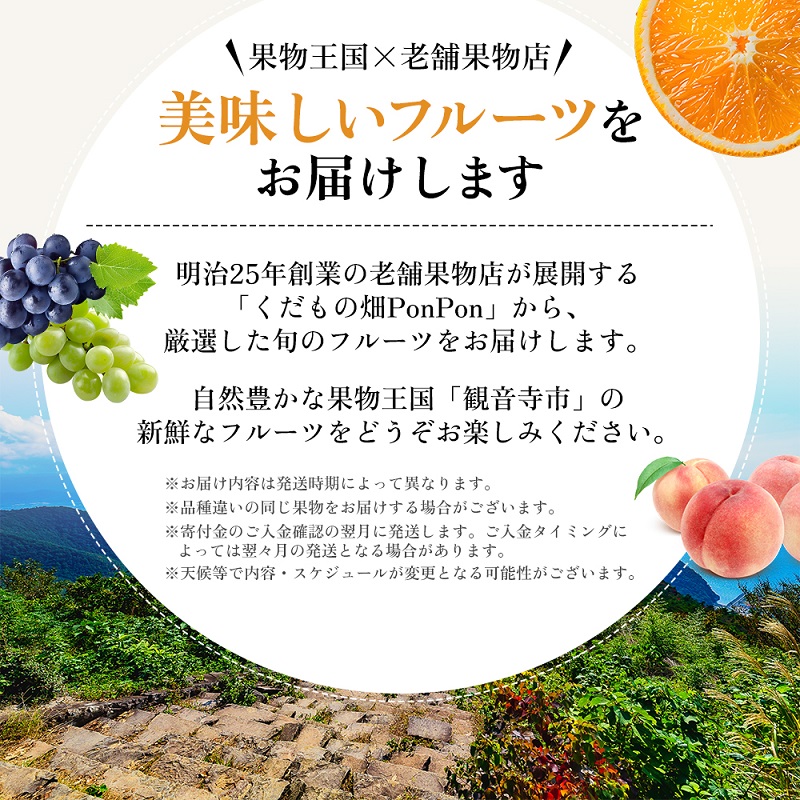 旬を見極めた、厳選フルーツ詰合せ【観音寺セット】