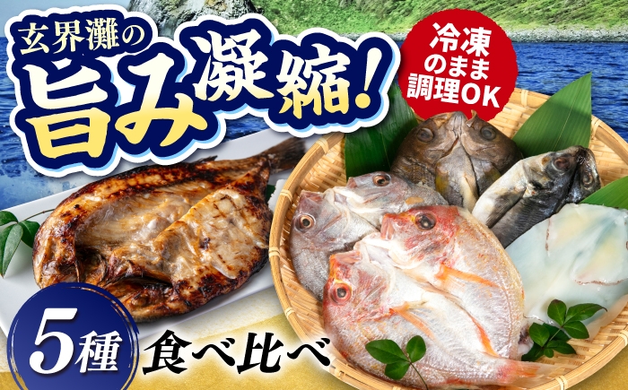 
                  【お中元対象】活き活き鮮魚開きセット（真鯛・連子鯛・アジ・いさき・やりいか 計 5枚）糸島市 / 有限会社 糸島海産 / 開き / セット [AMR001]
                