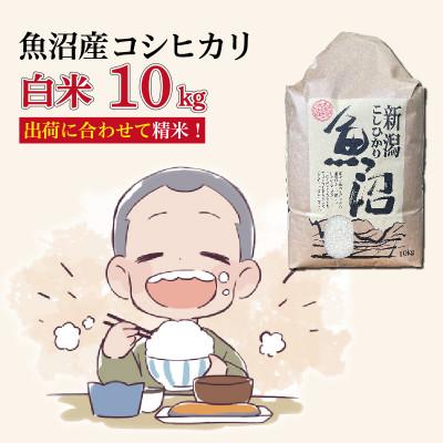 ふるさと納税 十日町市 魚沼産コシヒカリ【精米】10kg