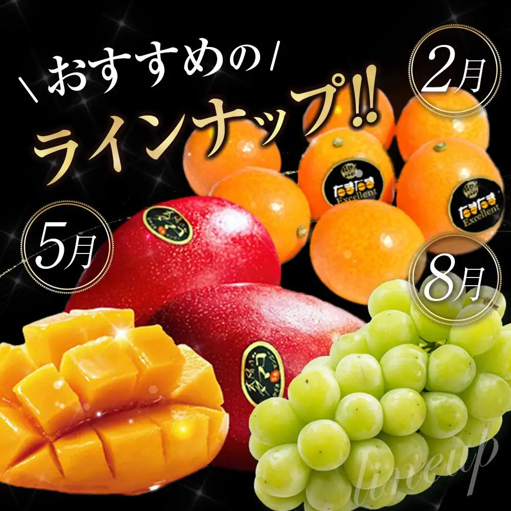 青果店チョイス！くだもの定期便Vol.6（全12回）国産 フルーツ 果物 1年間 毎月お届け 産地直送 G49-27