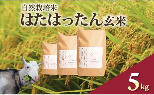 先行予約 新米 はたはったん 玄米 5kg 自然栽培米 令和7年産 選べる 容量 数量限定 銘柄米 あっさり 甘み おすすめ 先行 予約 米 こめ おこめ ライス 5kg 自然栽培 石川県産 羽咋産 能登産 石川 羽咋 能登 のと メへヘ農園