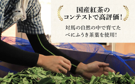 【全12回定期便】対馬 紅茶 リーフ 30g×6個 和紅茶 国産 茶葉  [WBE007]