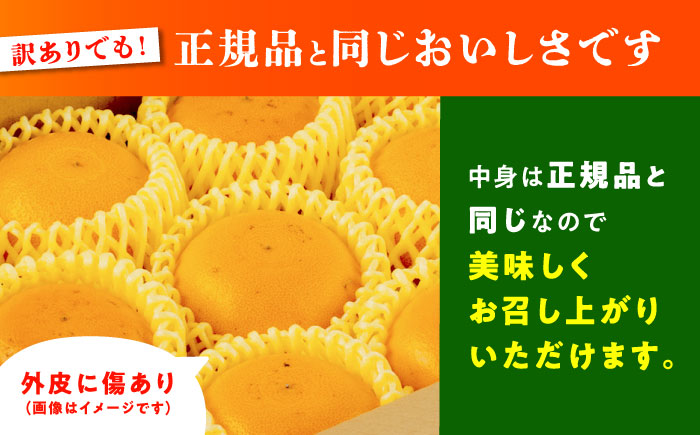 【2026年2月下旬から発送】【訳あり】せとか みかん 家庭用 約2.5kg 果物 フルーツ 【小春農園】 [ZBN007]
