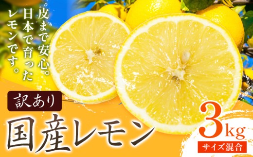 訳あり 国産 レモン サイズ混合 3kg エイワ商店《2月上旬-3月中旬頃出荷》和歌山県 日高川町 送料無料 柑橘類 フルーツ 果物 柑橘