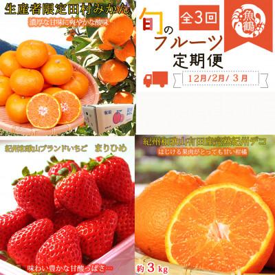 ふるさと納税 由良町 【発送月固定定期便】紀州和歌山産旬のフルーツセット(田村みかん・いちご・紀州デコ)全3回