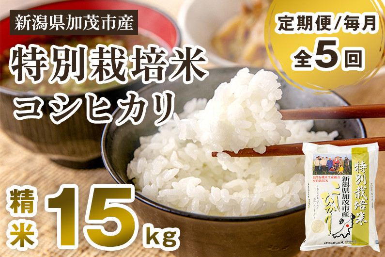 
                  【令和7年産】【定期便5ヶ月毎月お届け】特別栽培米 コシヒカリ 精米 15kg（5kg×3）《順次出荷》 白米 従来品種コシヒカリ （株）ライスグローワーズ 新潟県 加茂市産 米 お米 定期便
                